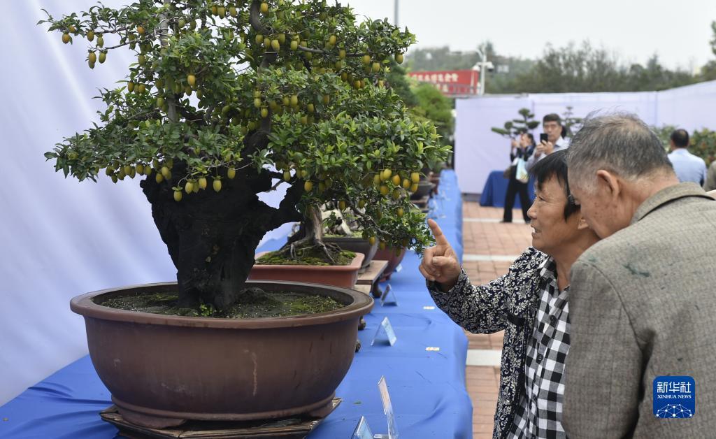 澳门百老汇